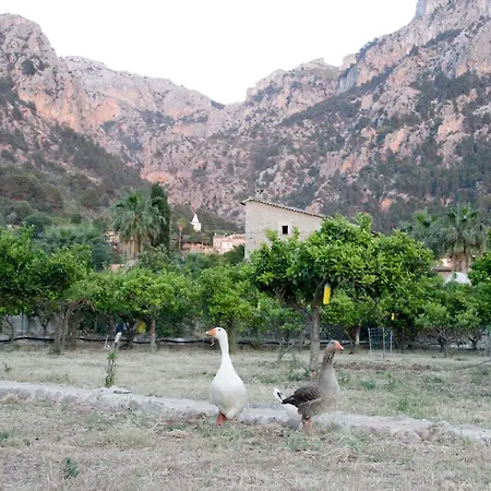 Can Sivella Groc - Holiday In *